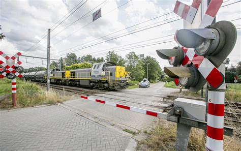sulasok.gv|nieuws gva vandaag.